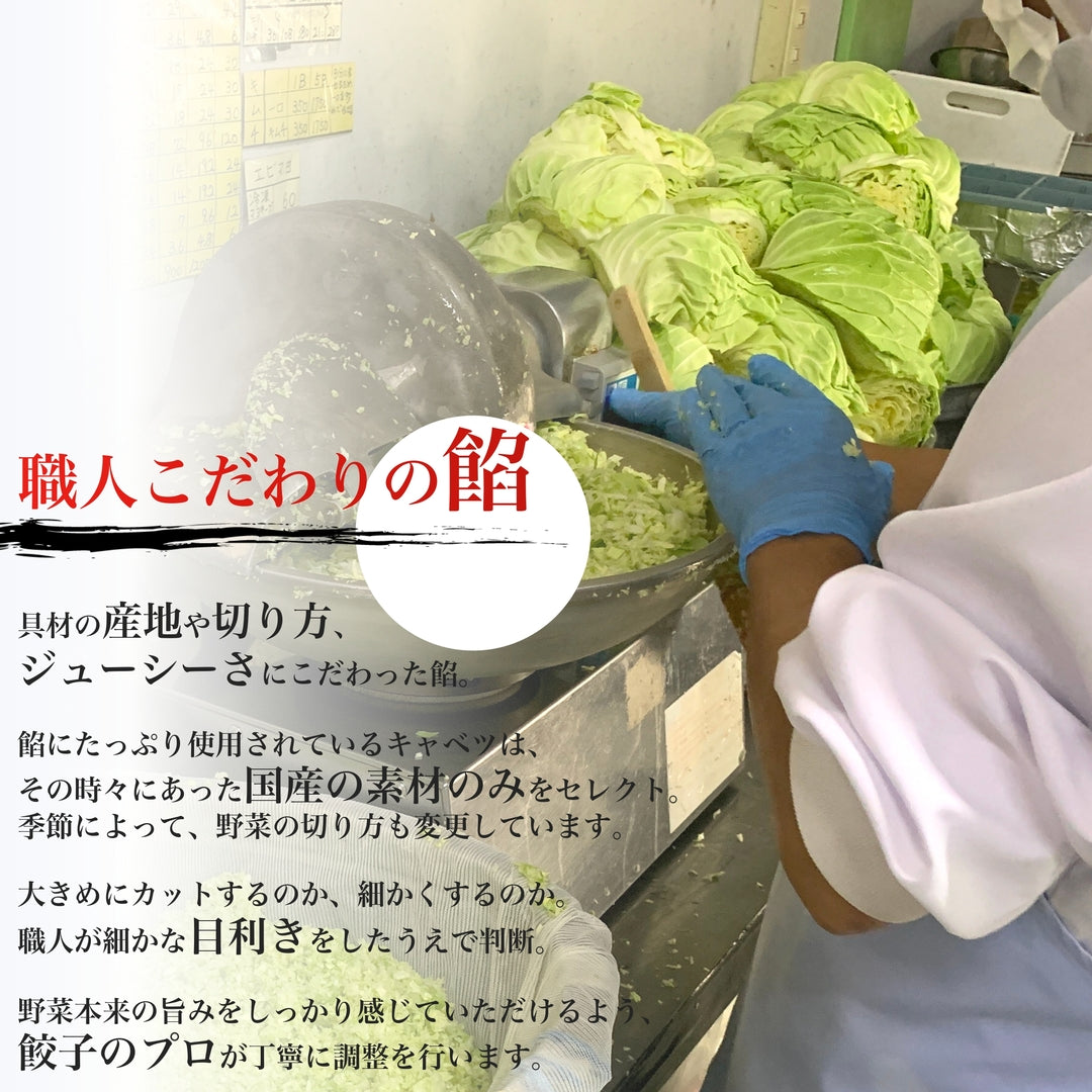 博多ひとくち純情餃子(15個)