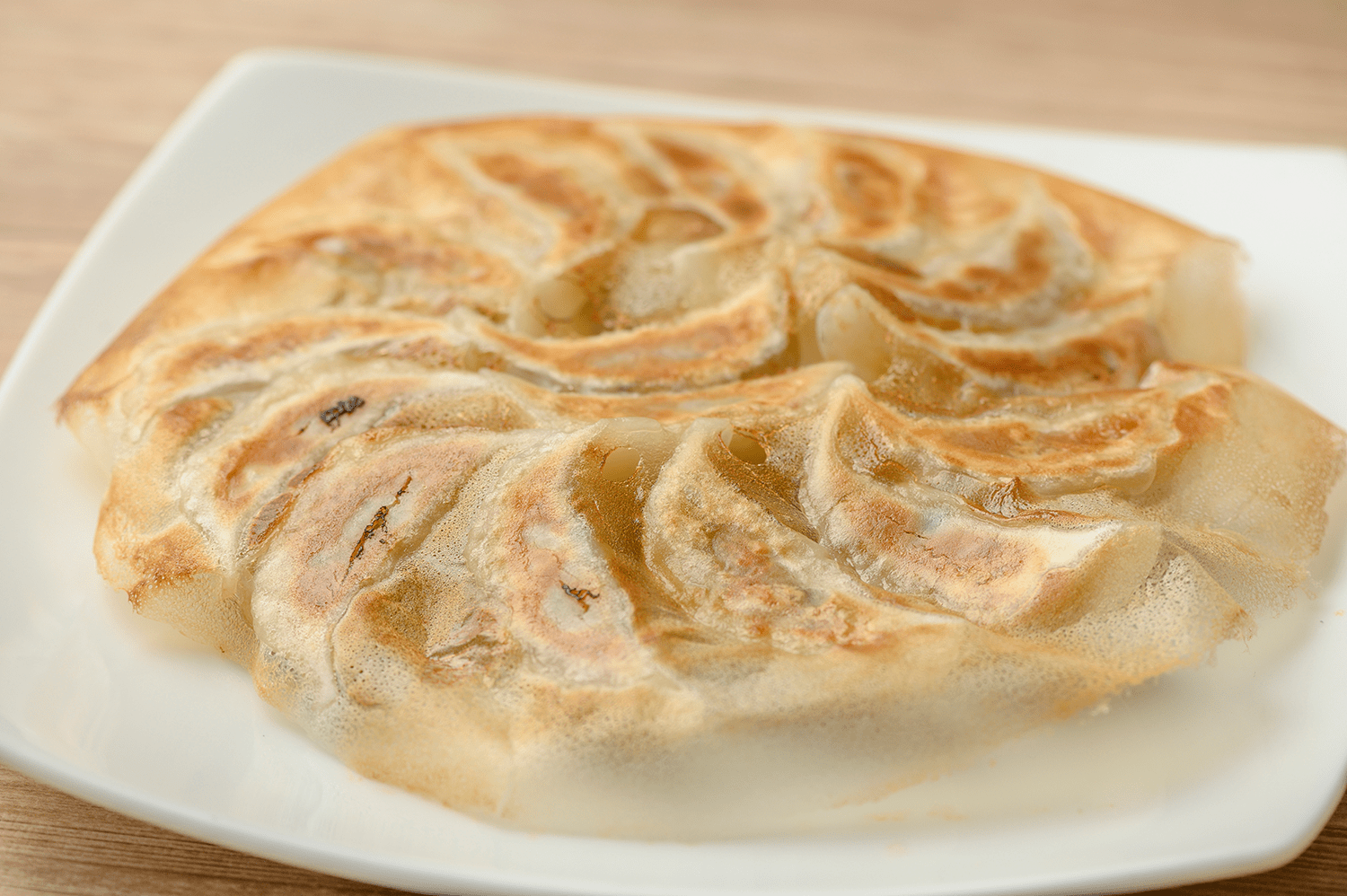 博多餃子舎603流！美味しいひと口餃子の焼き方 - 博多餃子舎603