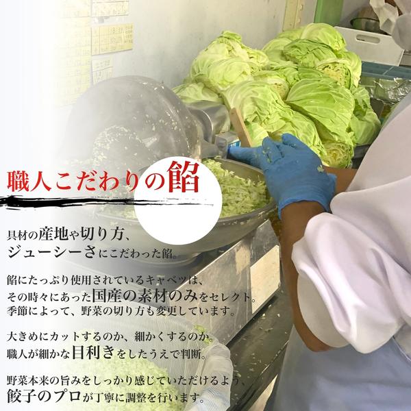 《お歳暮・冬ギフト》博多塩もつ鍋セット(2-3人前) ＋ 博多ひとくち純情餃子(100個入)