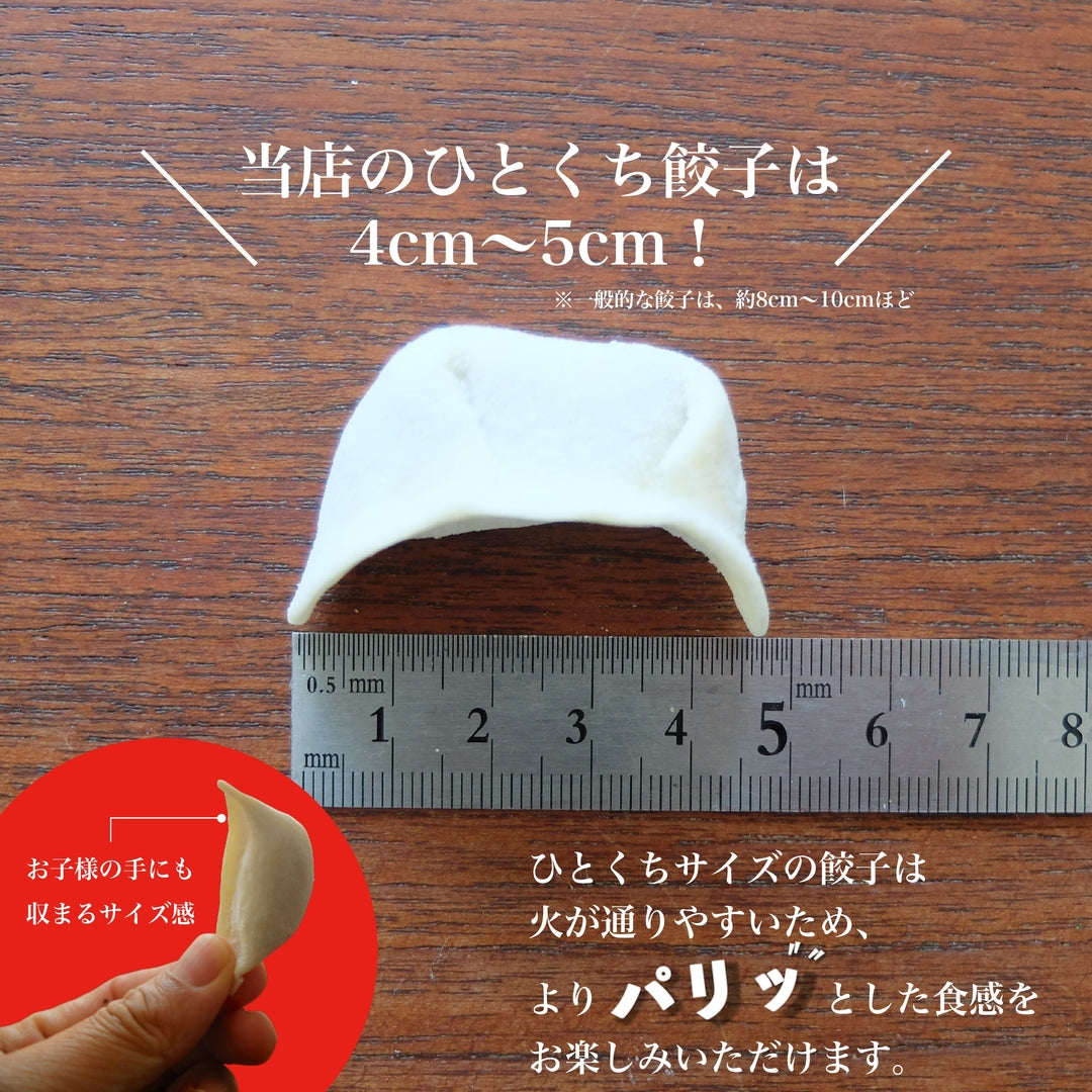 博多ひとくち純情餃子(15個入) ＋ 博多塩もつ鍋セット 2-3人前